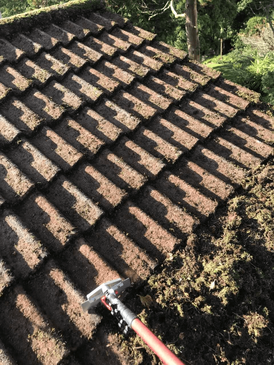 Roof Cleaning and Moss Removal